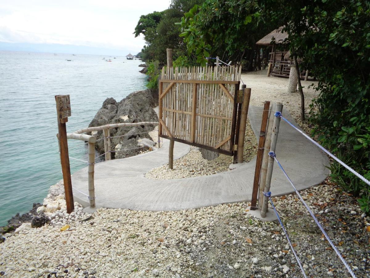 Guest house Sea Turtle House Moalboal