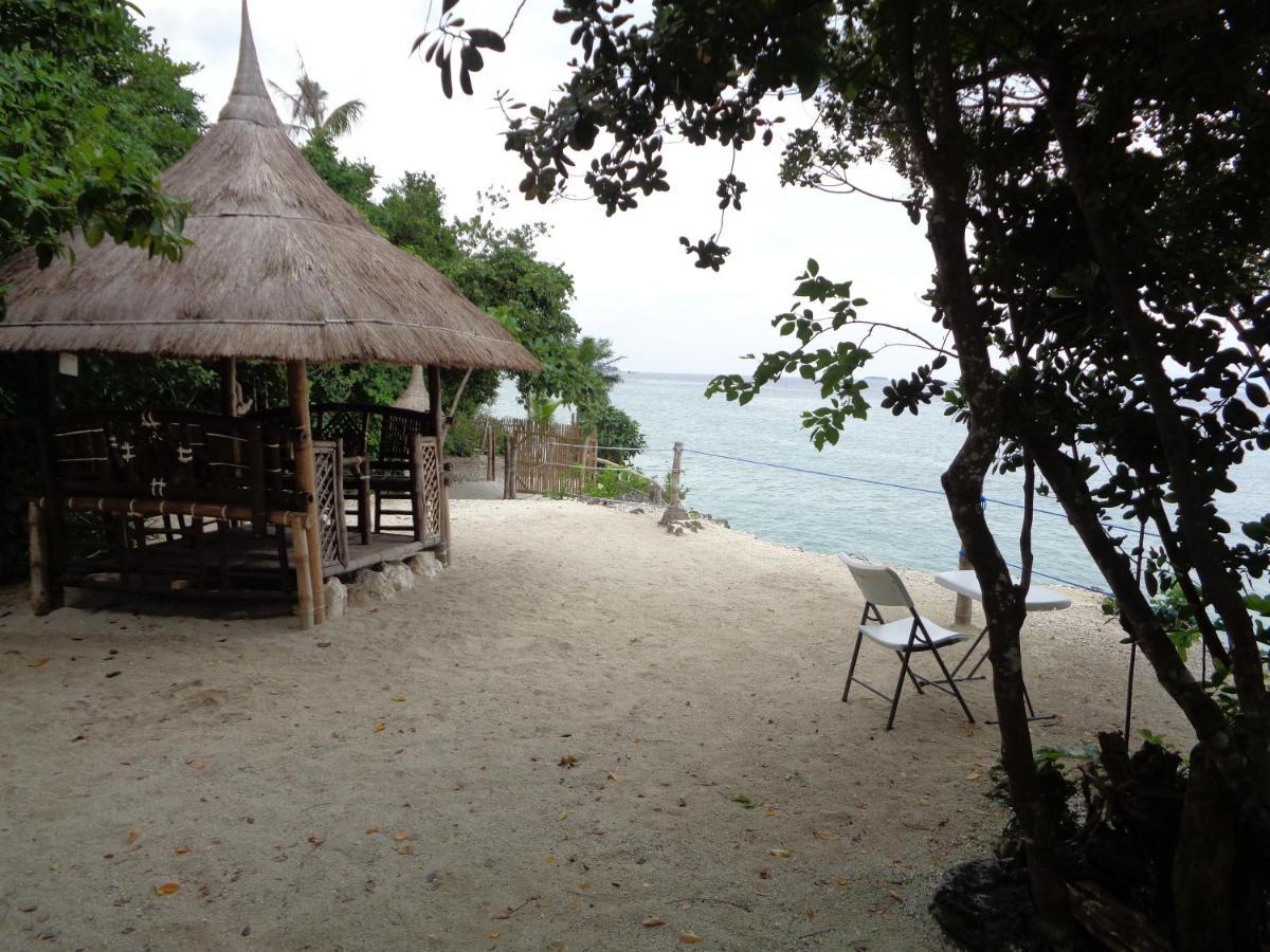 Sea Turtle House Guest house