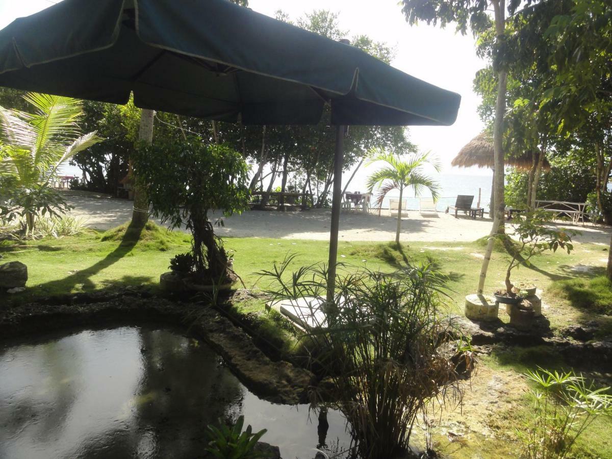 Sea Turtle House 3* Moalboal