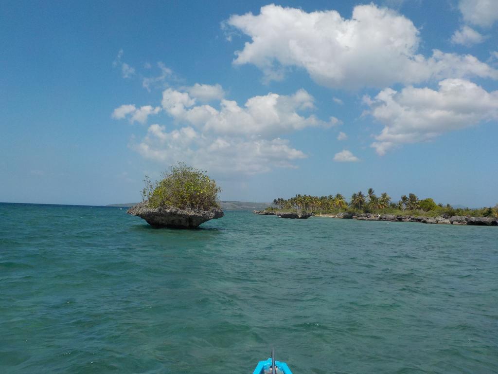 Sea Turtle House Guest house 3*