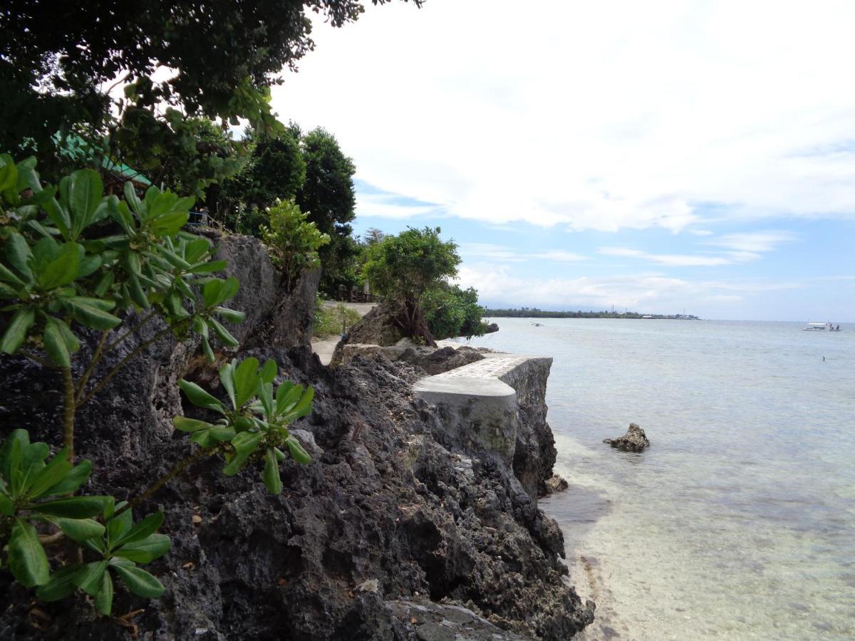 Guest house Sea Turtle House Moalboal